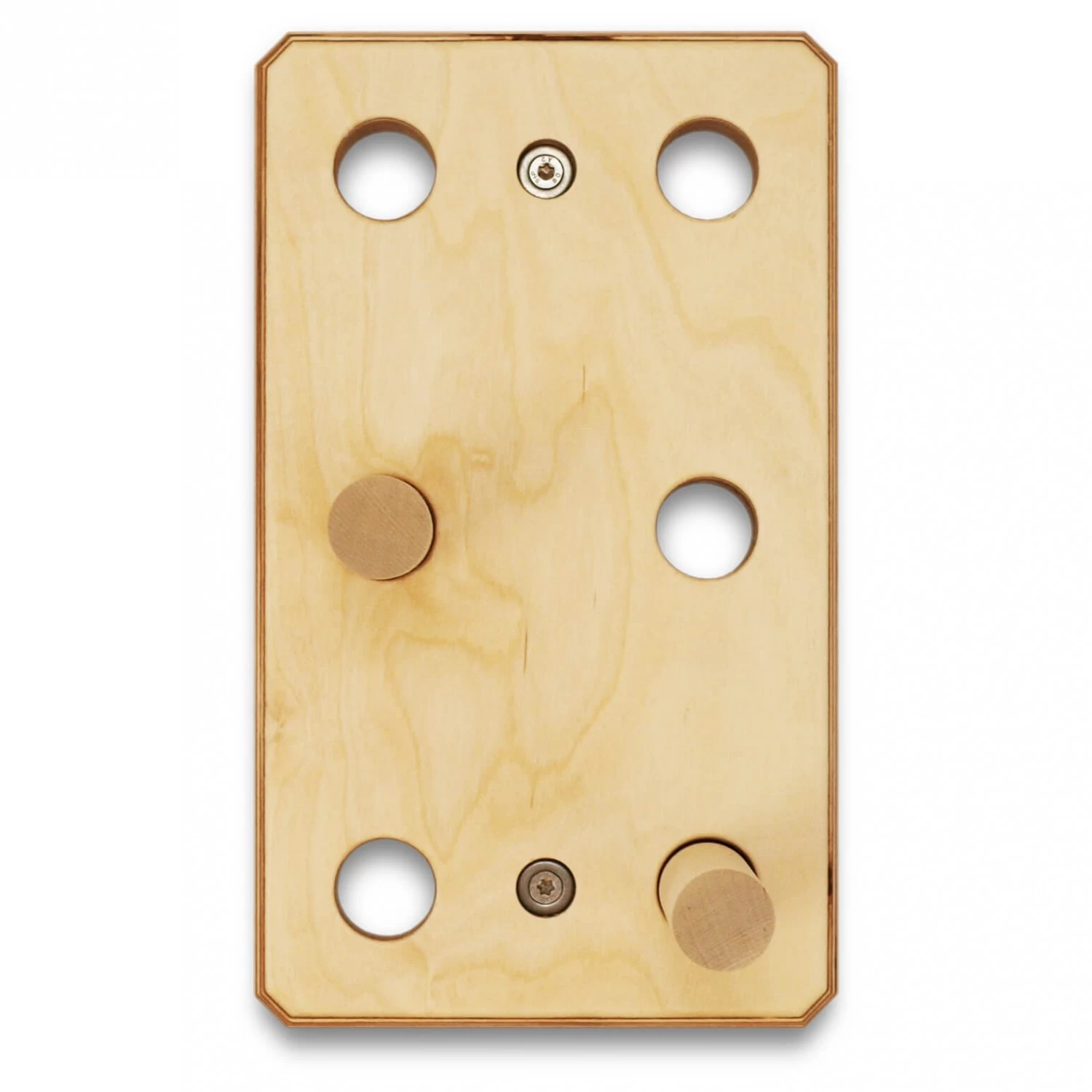 Antworks - Ant Hill - Training Board 4 Antworks - Ant Hill - Training Board - Image 2