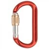 AustriAlpin - Ovalo GI Alu Schrauber - Screwgate Carabiner 1 AustriAlpin - Ovalo GI Alu Schrauber - Screwgate Carabiner -Outdoor Climbing Equipment Shop austrialpin ovalo gi alu schrauber screwgate carabiner