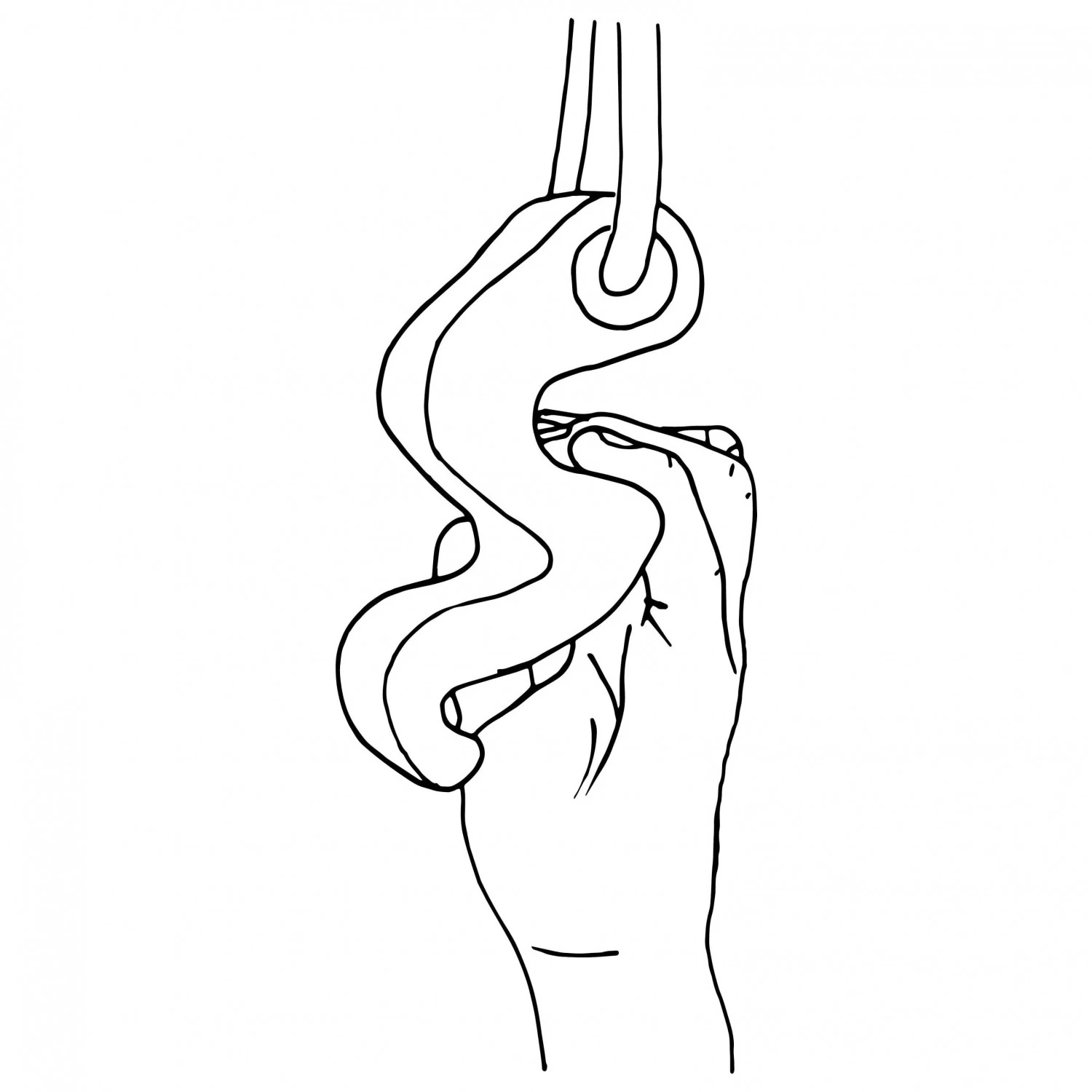 Max Climbing - Maxgrip - Training Grips 4 Max Climbing - Maxgrip - Training Grips - Image 2