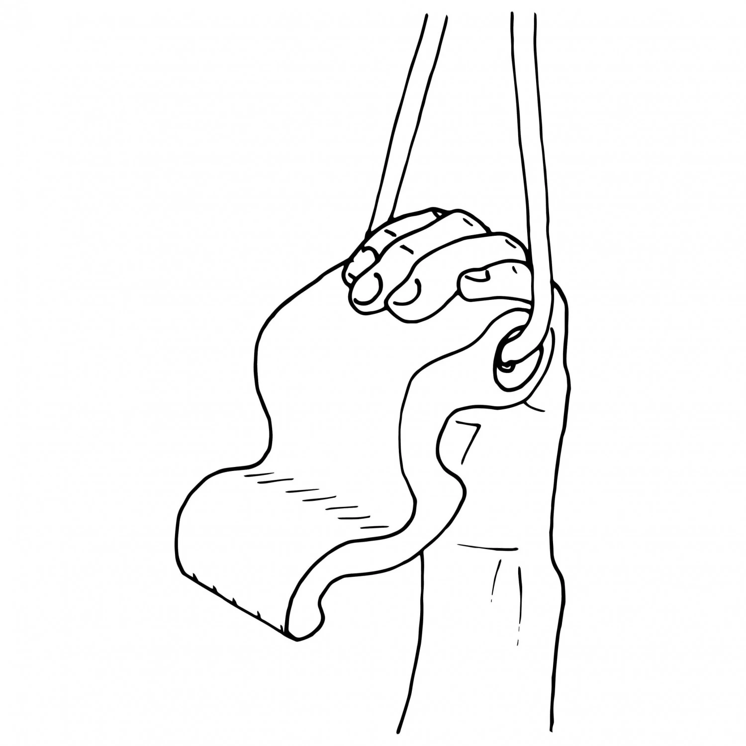 Max Climbing - Maxgrip - Training Grips 5 Max Climbing - Maxgrip - Training Grips - Image 3