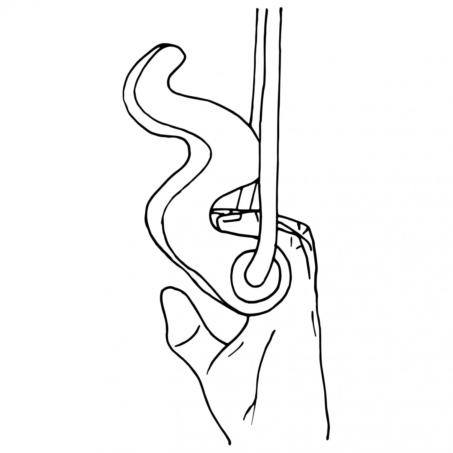 Max Climbing - Maxgrip - Training Grips 7 Max Climbing - Maxgrip - Training Grips - Image 5